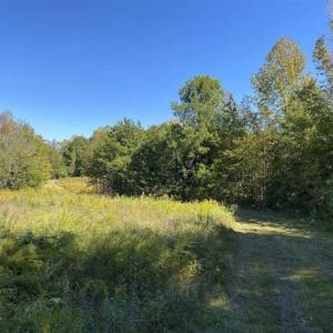 Photo of UNDER CONTRACT!!  10.94-acre Homesite (Lot-3) with Pond for Sale in Orange County, NC!