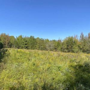 Photo of UNDER CONTRACT!!  10.94-acre Homesite (Lot-3) with Pond for Sale in Orange County, NC!
