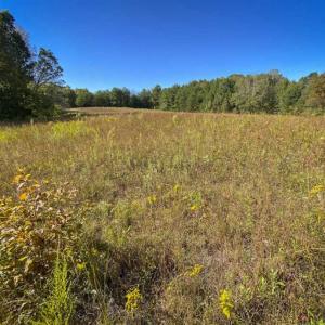 Photo of 10.39-acre Homesite (Lot-4) for Sale in Orange County, NC!