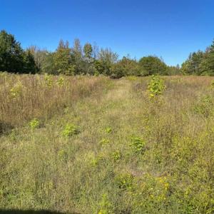 Photo of 10.39-acre Homesite (Lot-4) for Sale in Orange County, NC!
