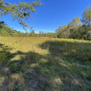 Photo of 10.39-acre Homesite (Lot-4) for Sale in Orange County, NC!