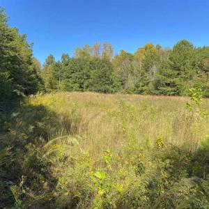 Photo of 10.39-acre Homesite (Lot-4) for Sale in Orange County, NC!