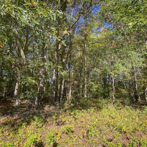 Photo of 10.39-acre Homesite (Lot-4) for Sale in Orange County, NC!