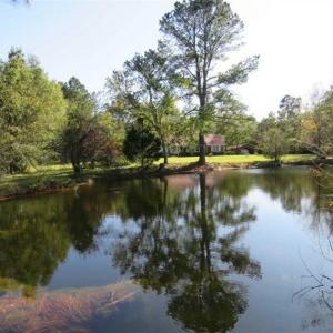 Photo of SOLD!!  5.7 acres of Residential Land for Sale in Columbus County NC!