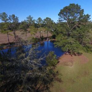Photo of SOLD!!  5.7 acres of Residential Land for Sale in Columbus County NC!