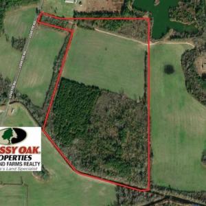 Photo of UNDER CONTRACT!!  55 Acres of Farm and Timber Land For Sale in Robeson County NC!