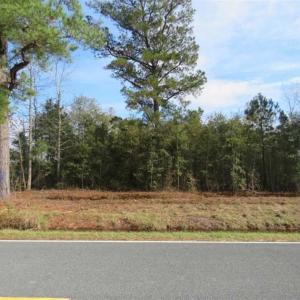 Photo of UNDER CONTRACT!!  55 Acres of Farm and Timber Land For Sale in Robeson County NC!