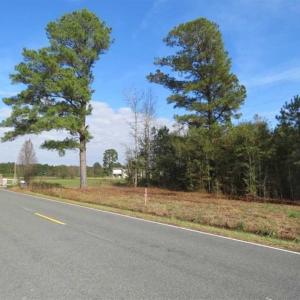 Photo of UNDER CONTRACT!!  55 Acres of Farm and Timber Land For Sale in Robeson County NC!