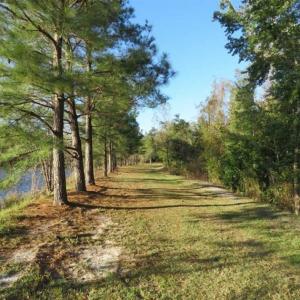 Photo of 194 Acres of Waterfront Recreational Land For Sale in Robeson County NC!