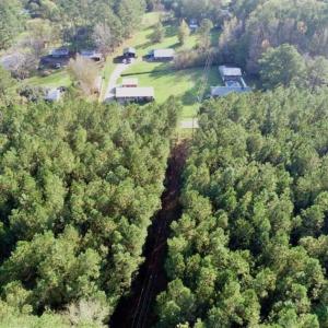 Photo of SOLD!!  22.72 Acres of Recreational Timberland For Sale in Washington County NC!