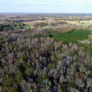 Photo of SOLD!!  22.72 Acres of Recreational Timberland For Sale in Washington County NC!