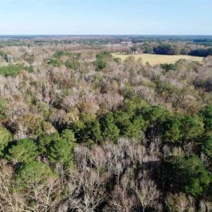 Photo of SOLD!!  22.72 Acres of Recreational Timberland For Sale in Washington County NC!