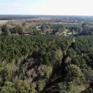 Photo of SOLD!!  22.72 Acres of Recreational Timberland For Sale in Washington County NC!