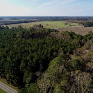 Photo of SOLD!!  22.72 Acres of Recreational Timberland For Sale in Washington County NC!