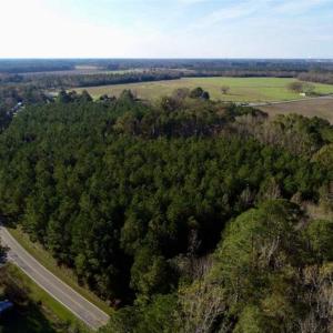 Photo of SOLD!!  22.72 Acres of Recreational Timberland For Sale in Washington County NC!