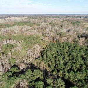 Photo of SOLD!!  22.72 Acres of Recreational Timberland For Sale in Washington County NC!