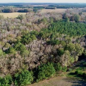 Photo of SOLD!!  22.72 Acres of Recreational Timberland For Sale in Washington County NC!
