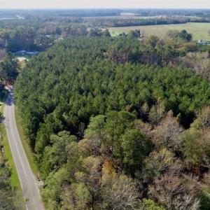 Photo of SOLD!!  22.72 Acres of Recreational Timberland For Sale in Washington County NC!