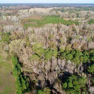Photo of SOLD!!  22.72 Acres of Recreational Timberland For Sale in Washington County NC!