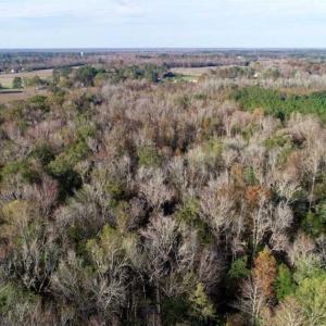 Photo of SOLD!!  22.72 Acres of Recreational Timberland For Sale in Washington County NC!