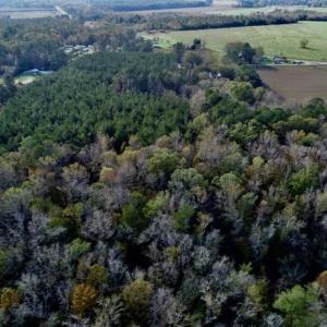 Photo of SOLD!!  22.72 Acres of Recreational Timberland For Sale in Washington County NC!