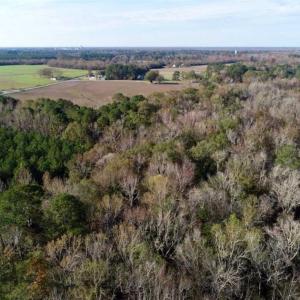 Photo of SOLD!!  22.72 Acres of Recreational Timberland For Sale in Washington County NC!