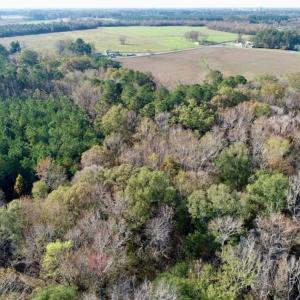 Photo of SOLD!!  22.72 Acres of Recreational Timberland For Sale in Washington County NC!