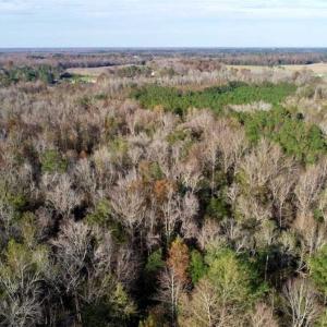Photo of SOLD!!  22.72 Acres of Recreational Timberland For Sale in Washington County NC!