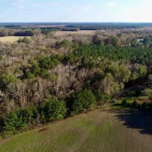 Photo of SOLD!!  22.72 Acres of Recreational Timberland For Sale in Washington County NC!