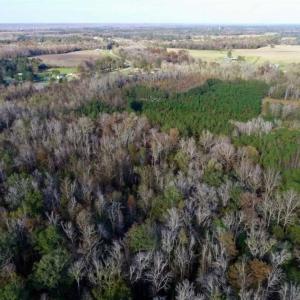 Photo of SOLD!!  22.72 Acres of Recreational Timberland For Sale in Washington County NC!
