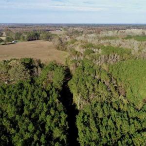 Photo of SOLD!!  22.72 Acres of Recreational Timberland For Sale in Washington County NC!