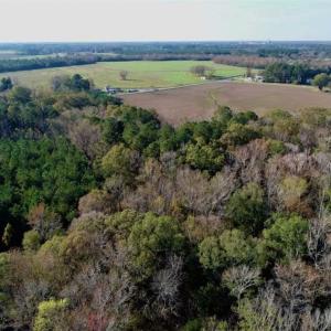 Photo of SOLD!!  22.72 Acres of Recreational Timberland For Sale in Washington County NC!