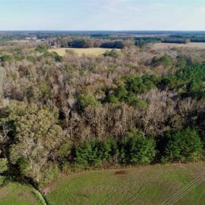 Photo of SOLD!!  22.72 Acres of Recreational Timberland For Sale in Washington County NC!