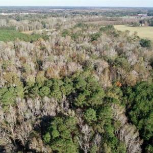 Photo of SOLD!!  22.72 Acres of Recreational Timberland For Sale in Washington County NC!