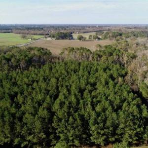 Photo of SOLD!!  22.72 Acres of Recreational Timberland For Sale in Washington County NC!