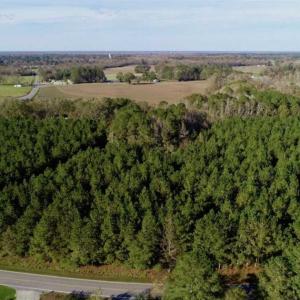 Photo of SOLD!!  22.72 Acres of Recreational Timberland For Sale in Washington County NC!