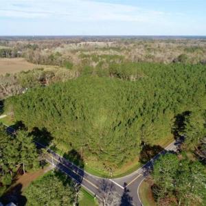 Photo of SOLD!!  22.72 Acres of Recreational Timberland For Sale in Washington County NC!