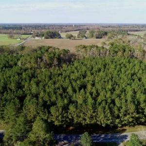 Photo of SOLD!!  22.72 Acres of Recreational Timberland For Sale in Washington County NC!