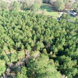 Photo of SOLD!!  22.72 Acres of Recreational Timberland For Sale in Washington County NC!