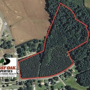 Photo of SOLD!!  22.72 Acres of Recreational Timberland For Sale in Washington County NC!