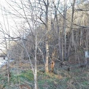Photo of 47.72 Acres of Riverfront Hunting Land For Sale in Pulaski County VA!