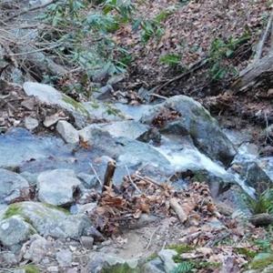Photo of 47.72 Acres of Riverfront Hunting Land For Sale in Pulaski County VA!