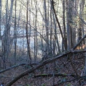 Photo of 47.72 Acres of Riverfront Hunting Land For Sale in Pulaski County VA!