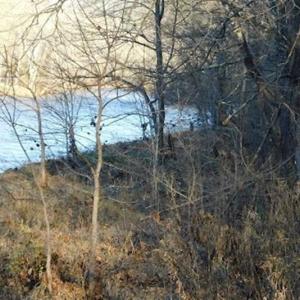 Photo of 47.72 Acres of Riverfront Hunting Land For Sale in Pulaski County VA!
