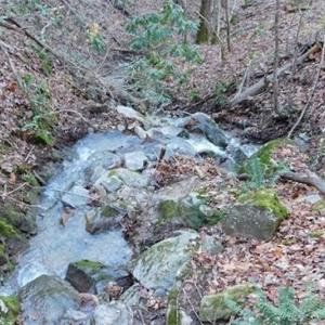 Photo of 47.72 Acres of Riverfront Hunting Land For Sale in Pulaski County VA!