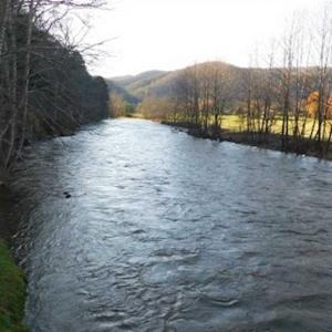 Photo of 47.72 Acres of Riverfront Hunting Land For Sale in Pulaski County VA!
