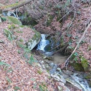 Photo of 47.72 Acres of Riverfront Hunting Land For Sale in Pulaski County VA!