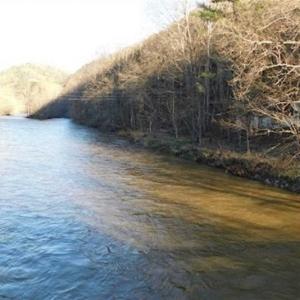 Photo of 47.72 Acres of Riverfront Hunting Land For Sale in Pulaski County VA!