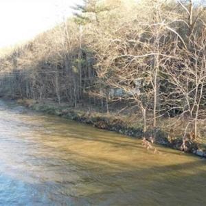 Photo of 47.72 Acres of Riverfront Hunting Land For Sale in Pulaski County VA!