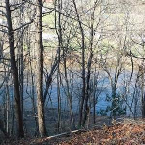 Photo of 47.72 Acres of Riverfront Hunting Land For Sale in Pulaski County VA!